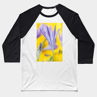 Triteleia laxa  'Koningin Fabiola'  Triplet lily  Also known as Queen Fabiola Baseball T-Shirt